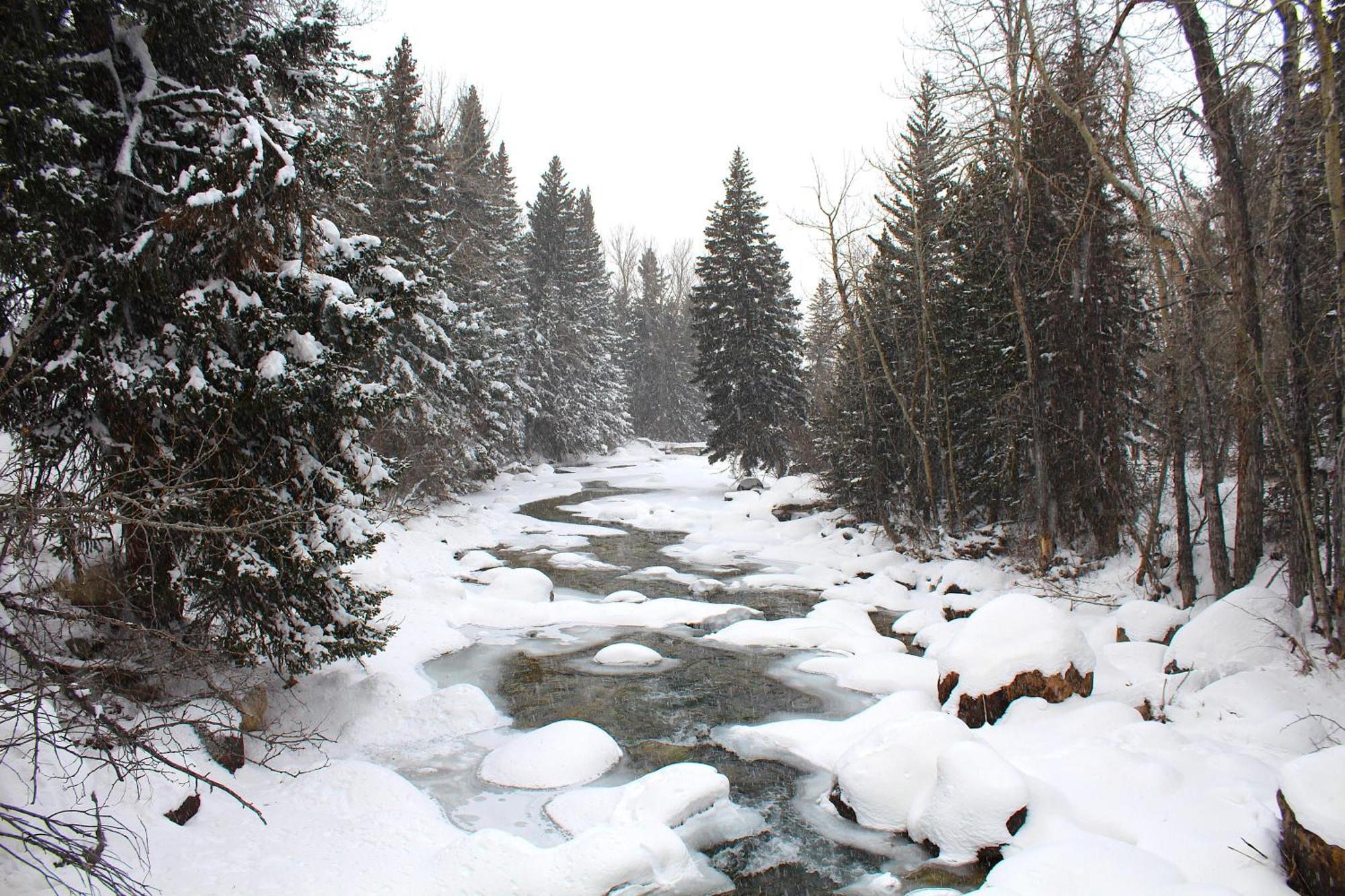 Rock Creek Resort Red Lodge Exteriör bild